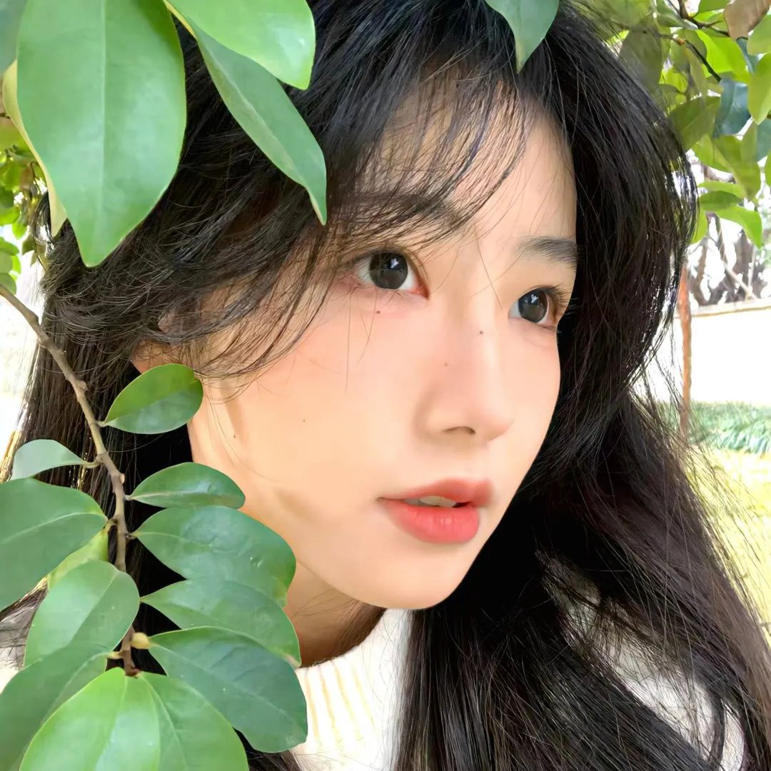 觅法奇程